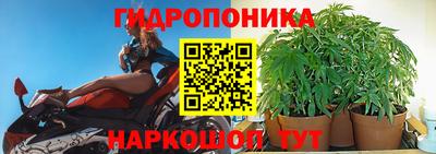 индика Кандалакша