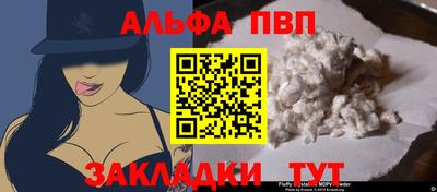 2c-b Кингисепп