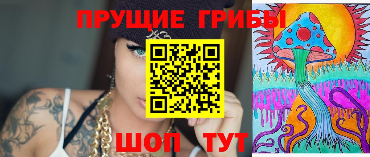 Галлюциногенные грибы мицелий Камень-на-Оби