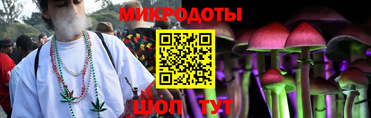 Псилоцибиновые грибы мицелий  купить наркотик  Камень-на-Оби  Псилоцибиновые грибы мухоморы  Вход с VPN 